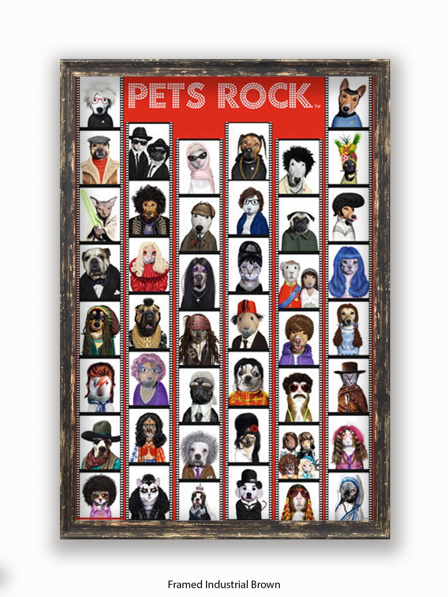 Pets  Rock  Film  Strip Poster