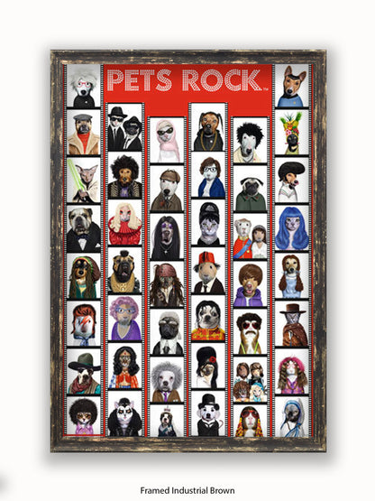 Pets  Rock  Film  Strip Poster