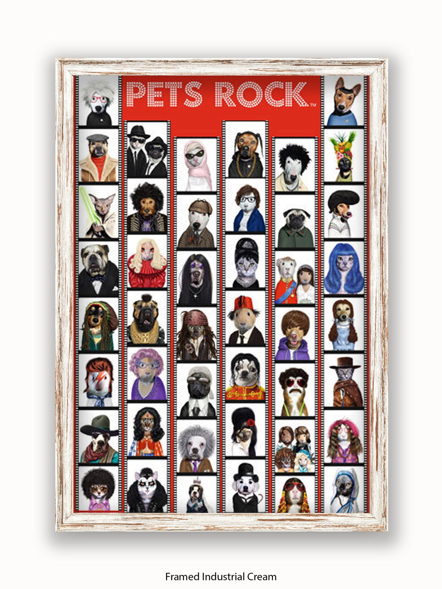 Pets  Rock  Film  Strip Poster