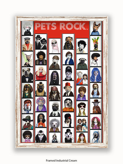Pets  Rock  Film  Strip Poster
