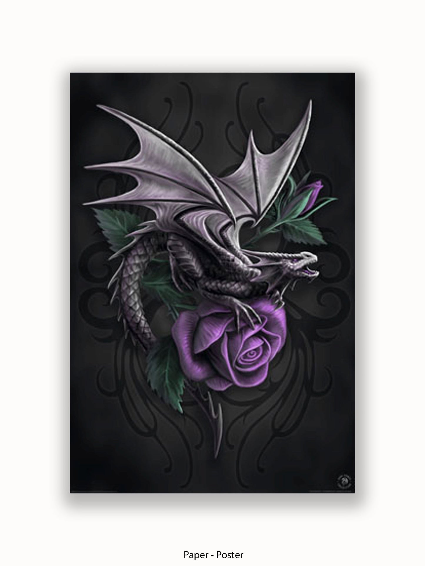 Anne  Stokes  Dragon  Beauty Poster