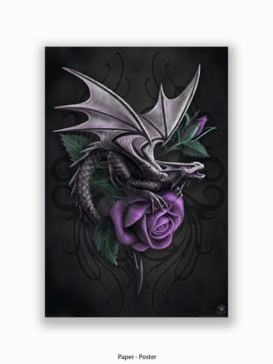 Anne  Stokes  Dragon  Beauty Poster