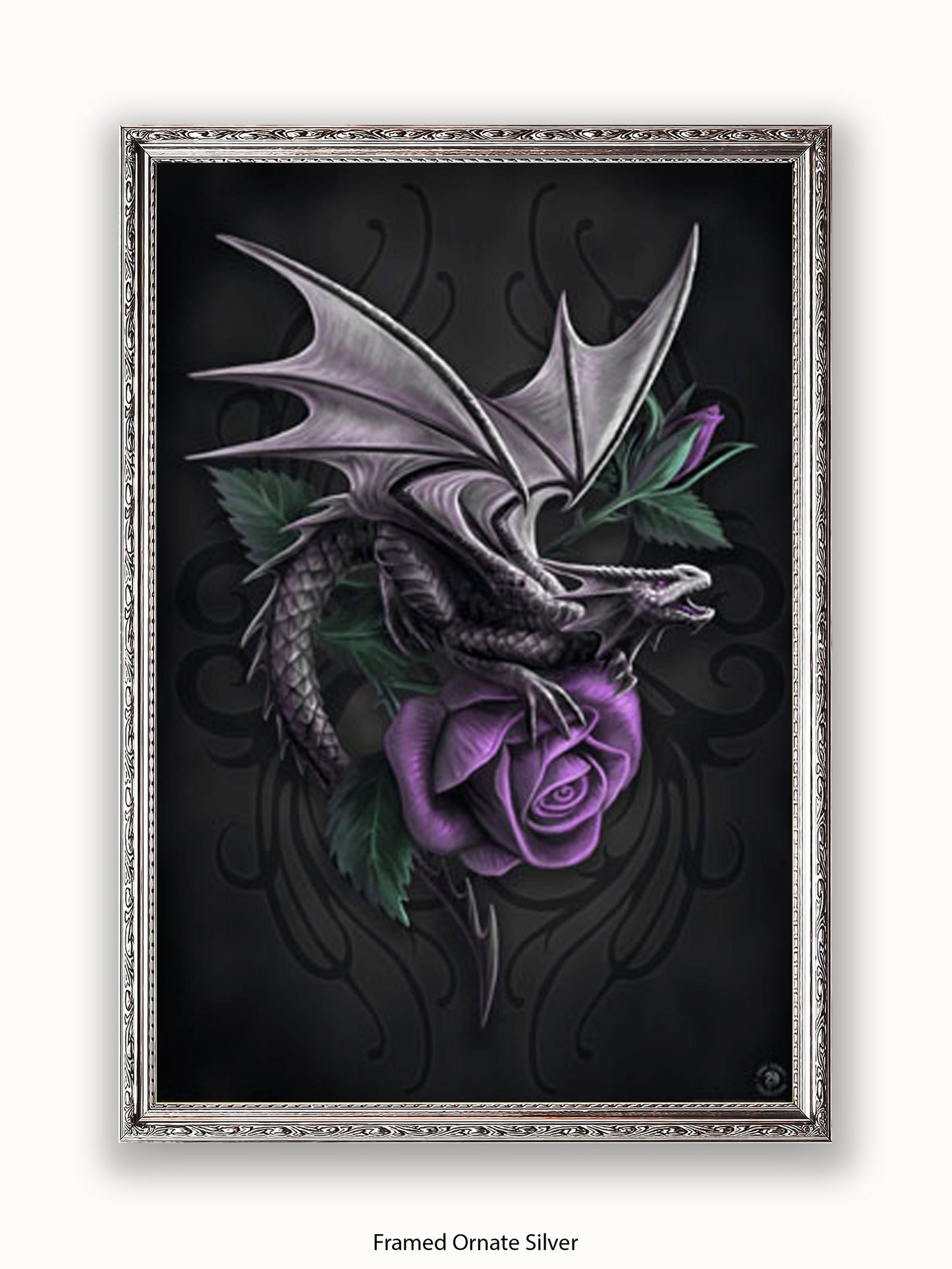 Anne  Stokes  Dragon  Beauty Poster