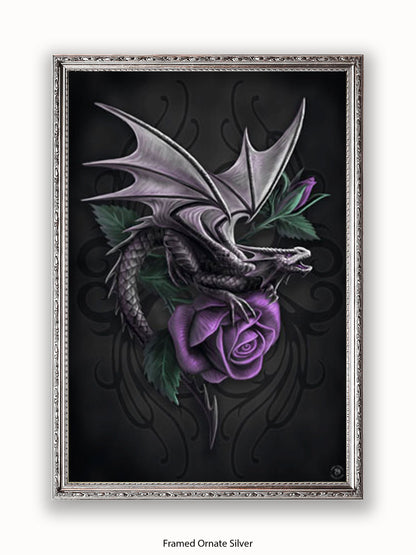 Anne  Stokes  Dragon  Beauty Poster