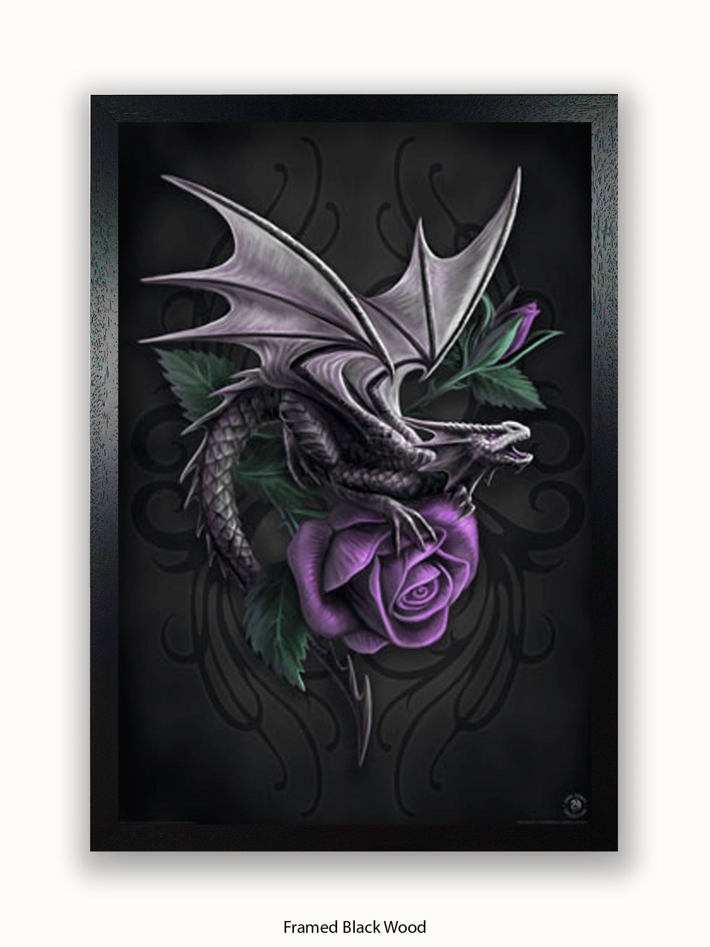 Anne  Stokes  Dragon  Beauty Poster