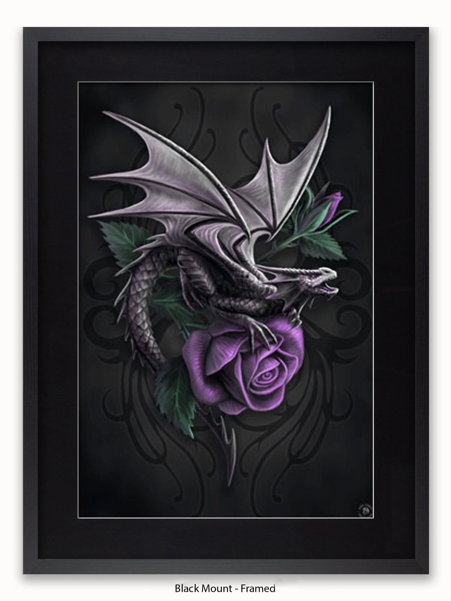 Anne  Stokes  Dragon  Beauty Poster