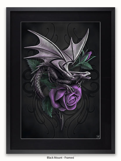 Anne  Stokes  Dragon  Beauty Poster