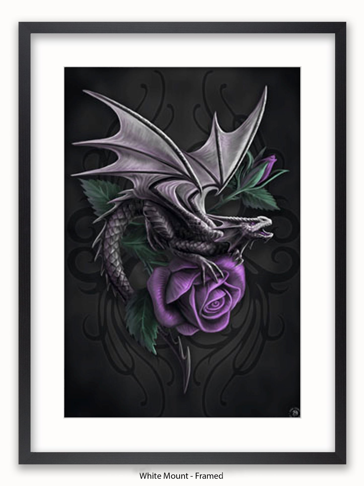 Anne  Stokes  Dragon  Beauty Poster