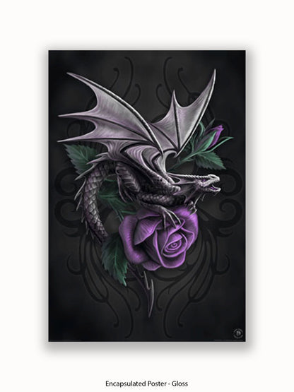 Anne  Stokes  Dragon  Beauty Poster