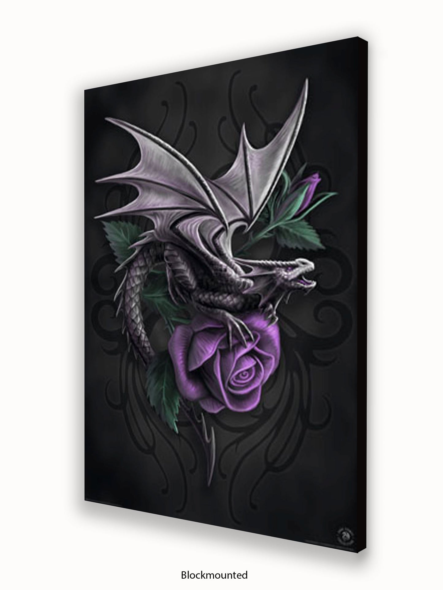 Anne  Stokes  Dragon  Beauty Poster