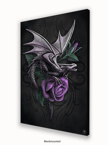 Anne  Stokes  Dragon  Beauty Poster