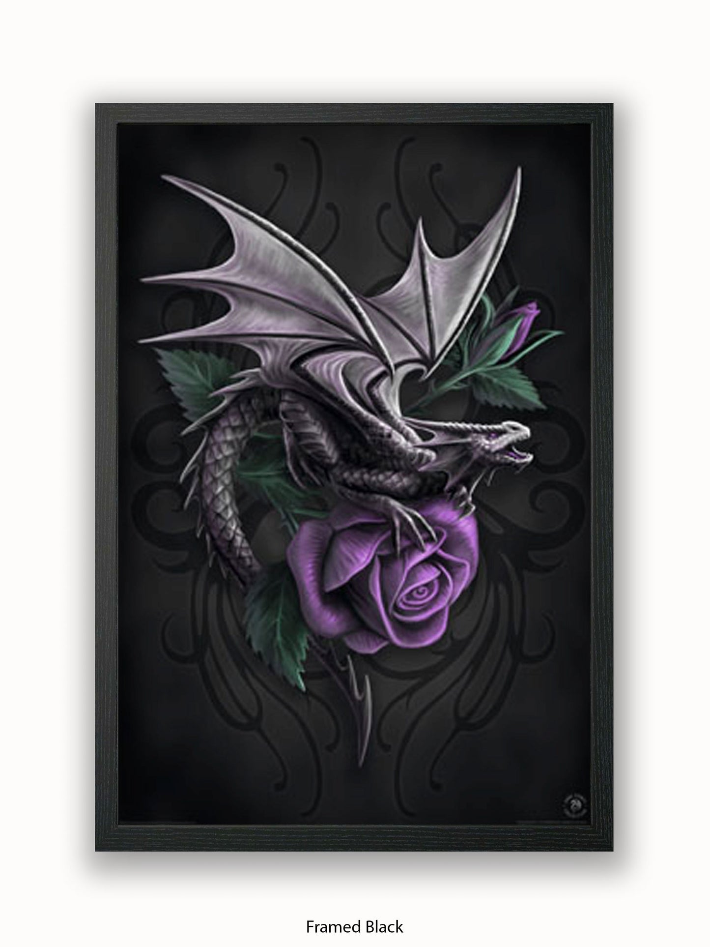 Anne  Stokes  Dragon  Beauty Poster