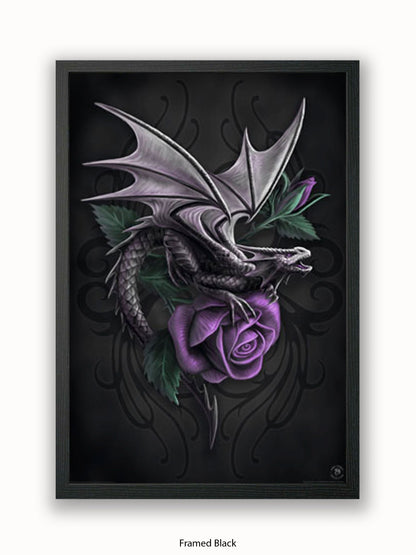 Anne  Stokes  Dragon  Beauty Poster