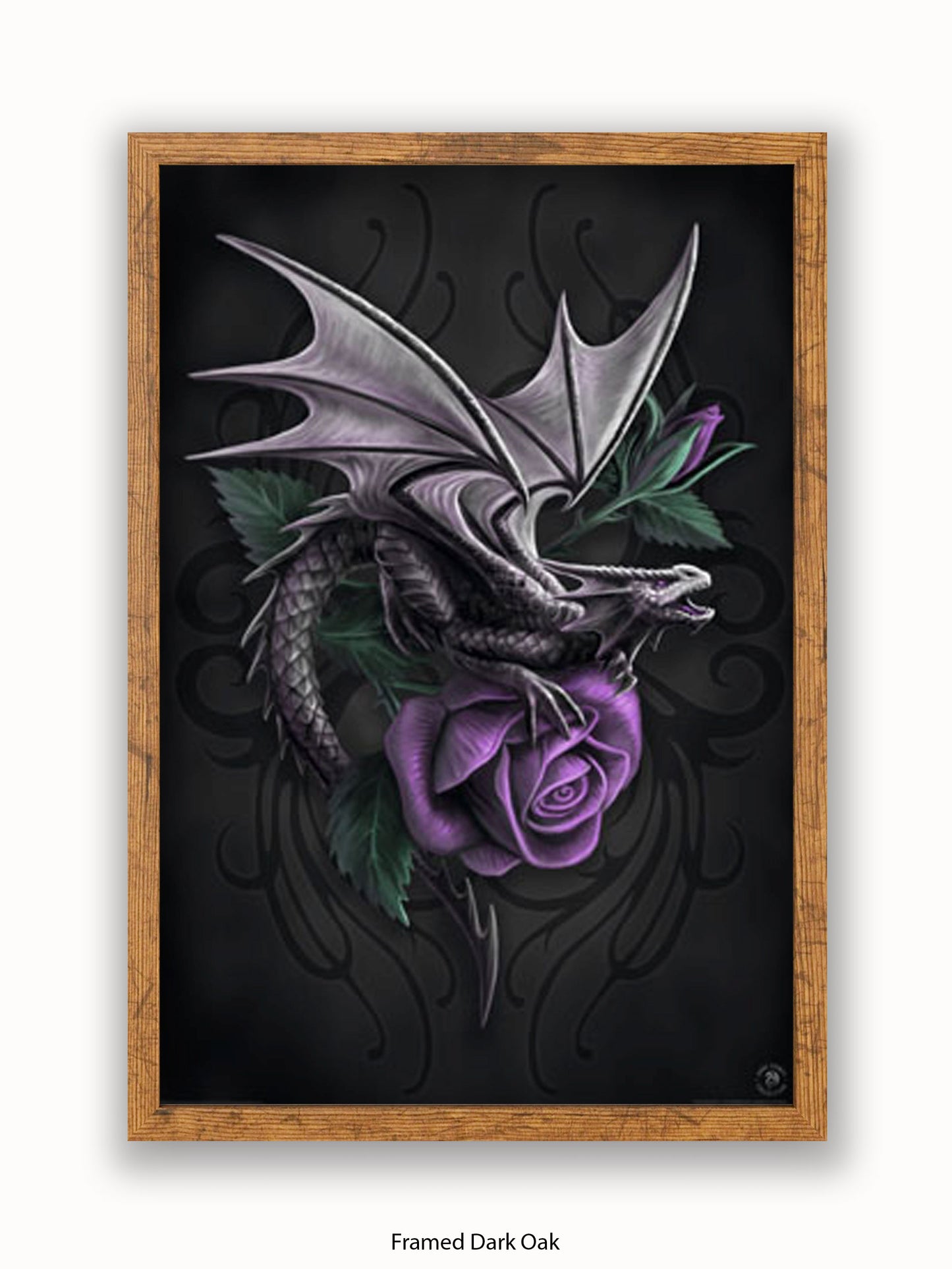 Anne  Stokes  Dragon  Beauty Poster