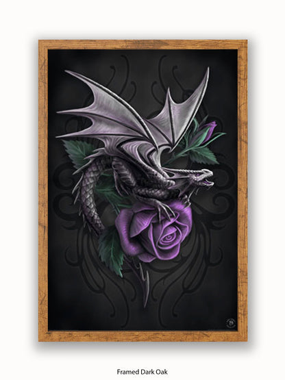 Anne  Stokes  Dragon  Beauty Poster