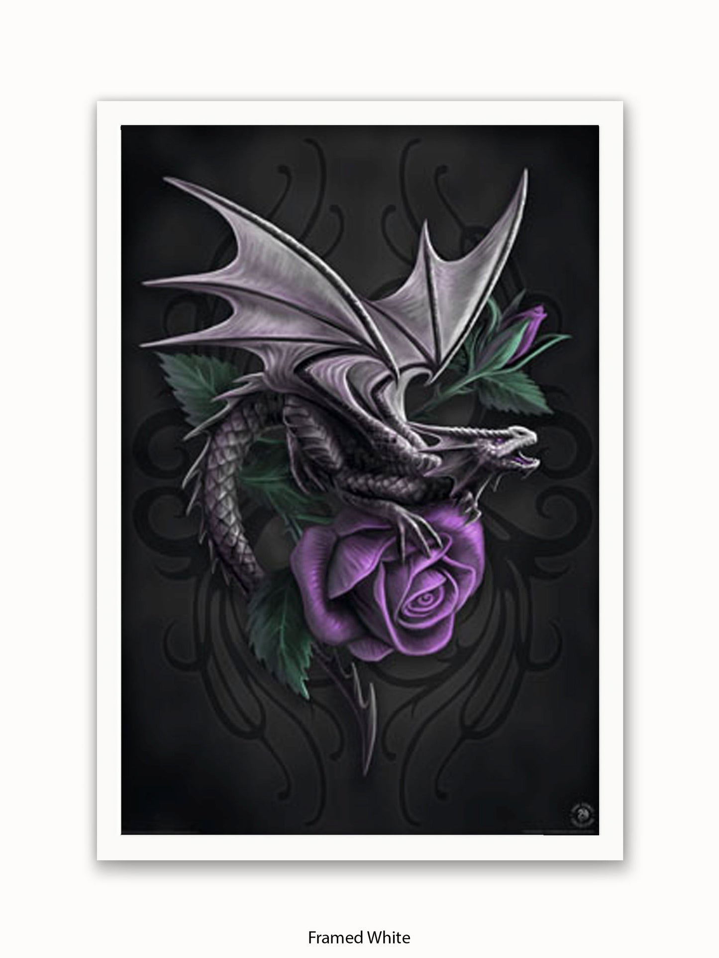 Anne  Stokes  Dragon  Beauty Poster