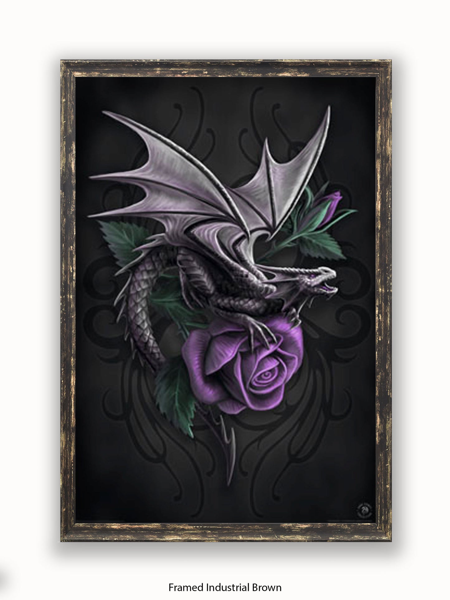 Anne  Stokes  Dragon  Beauty Poster