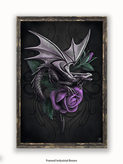 Anne  Stokes  Dragon  Beauty Poster