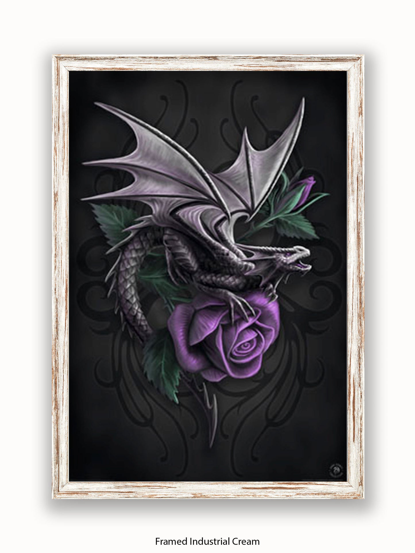 Anne  Stokes  Dragon  Beauty Poster