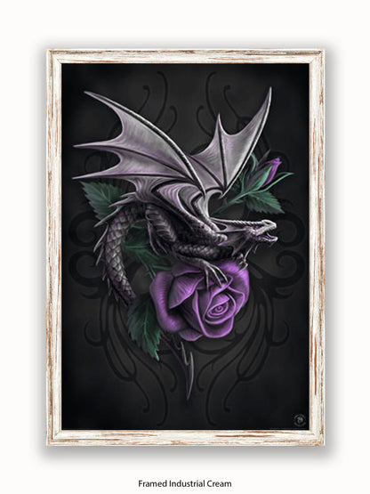 Anne  Stokes  Dragon  Beauty Poster