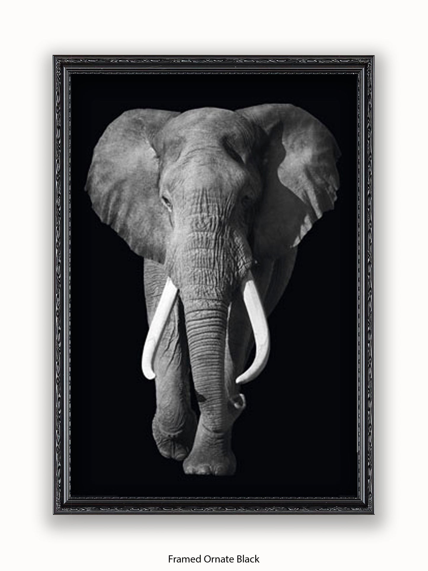 Elephant Kings Of Nature Poster