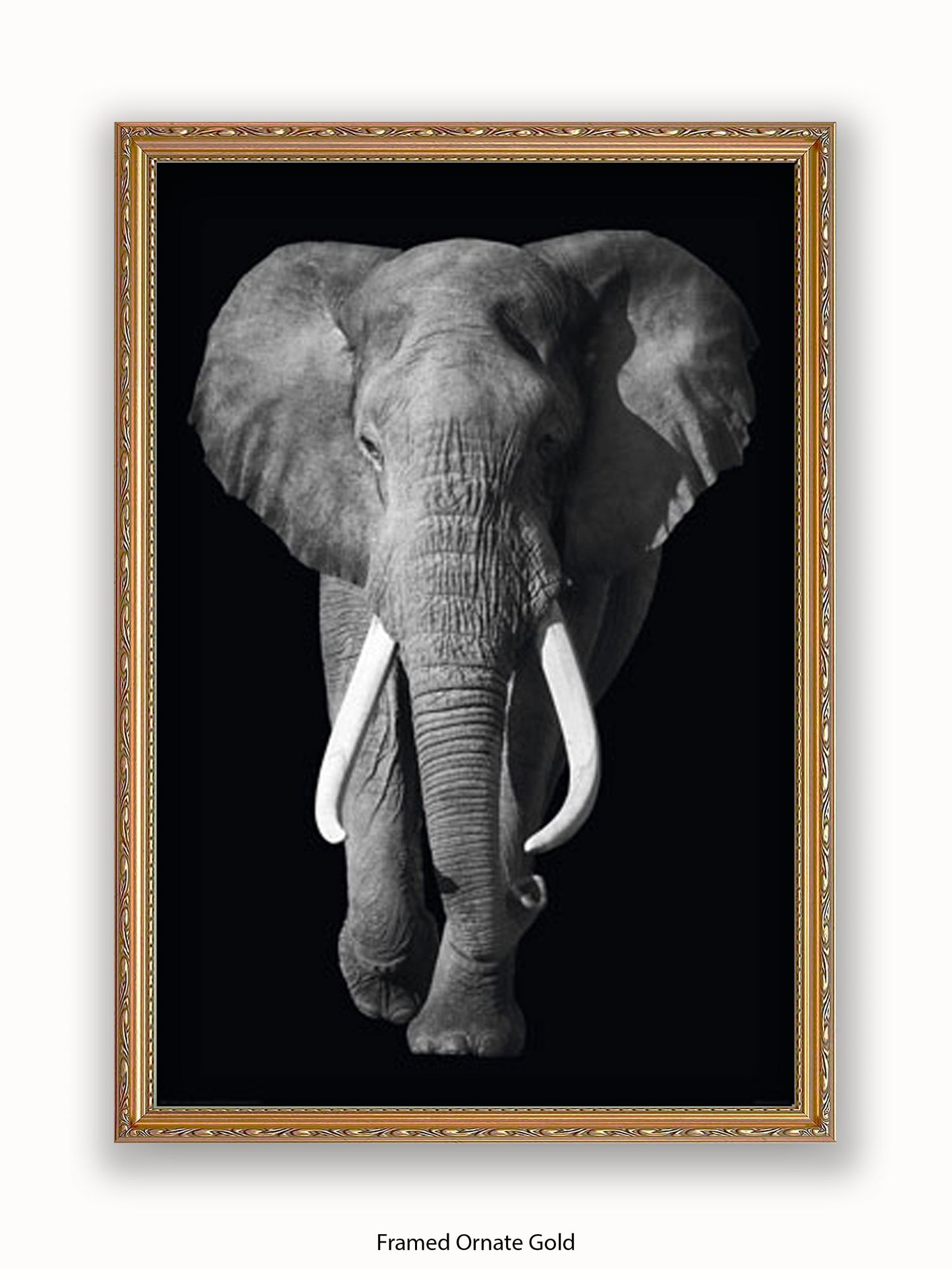 Elephant Kings Of Nature Poster