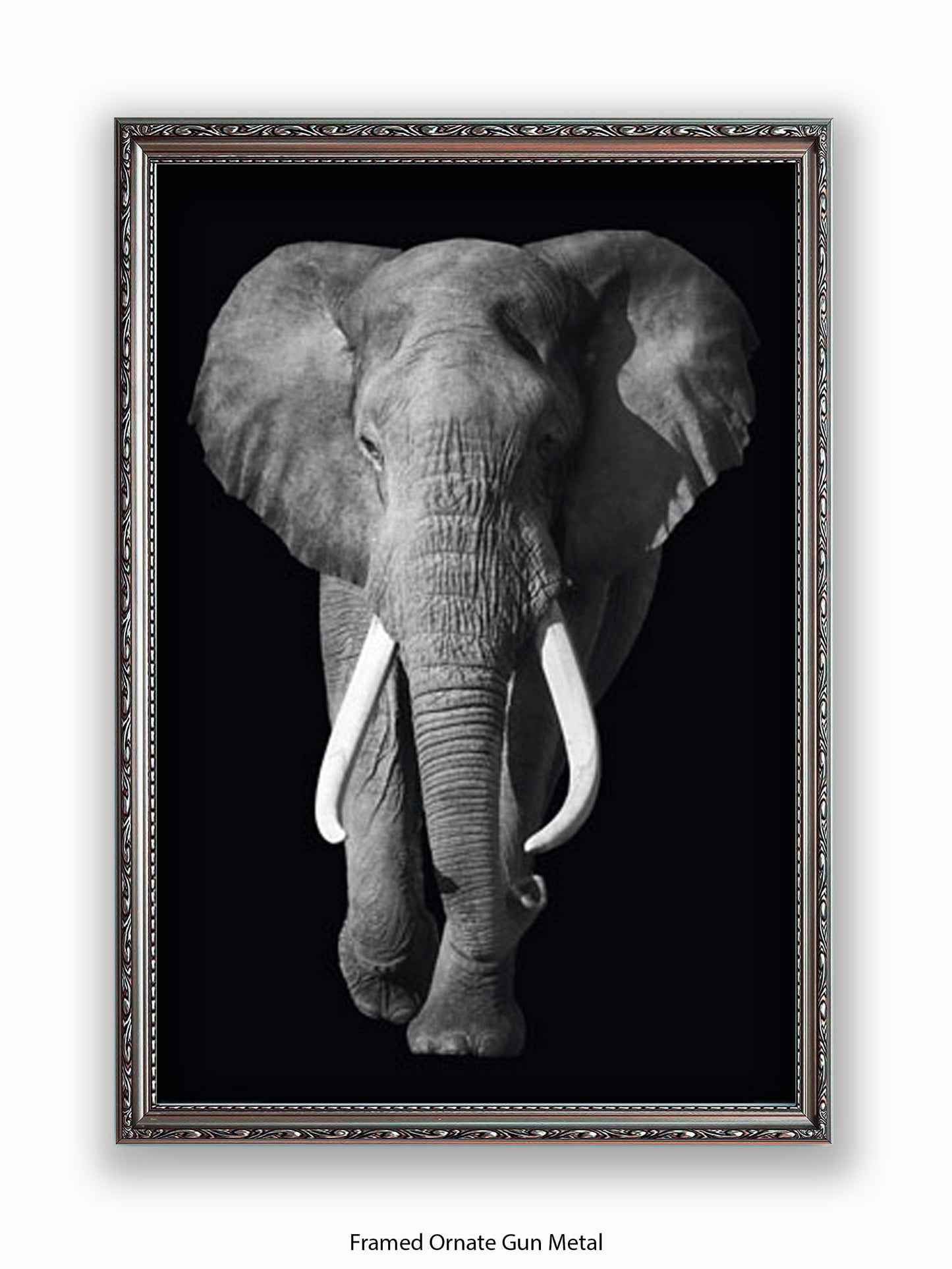 Elephant Kings Of Nature Poster
