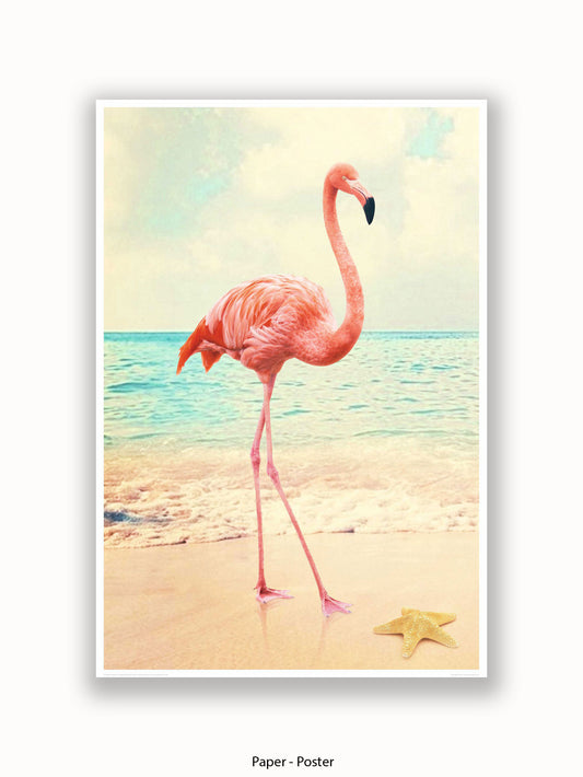 Flamingo Starfish Beach Poster