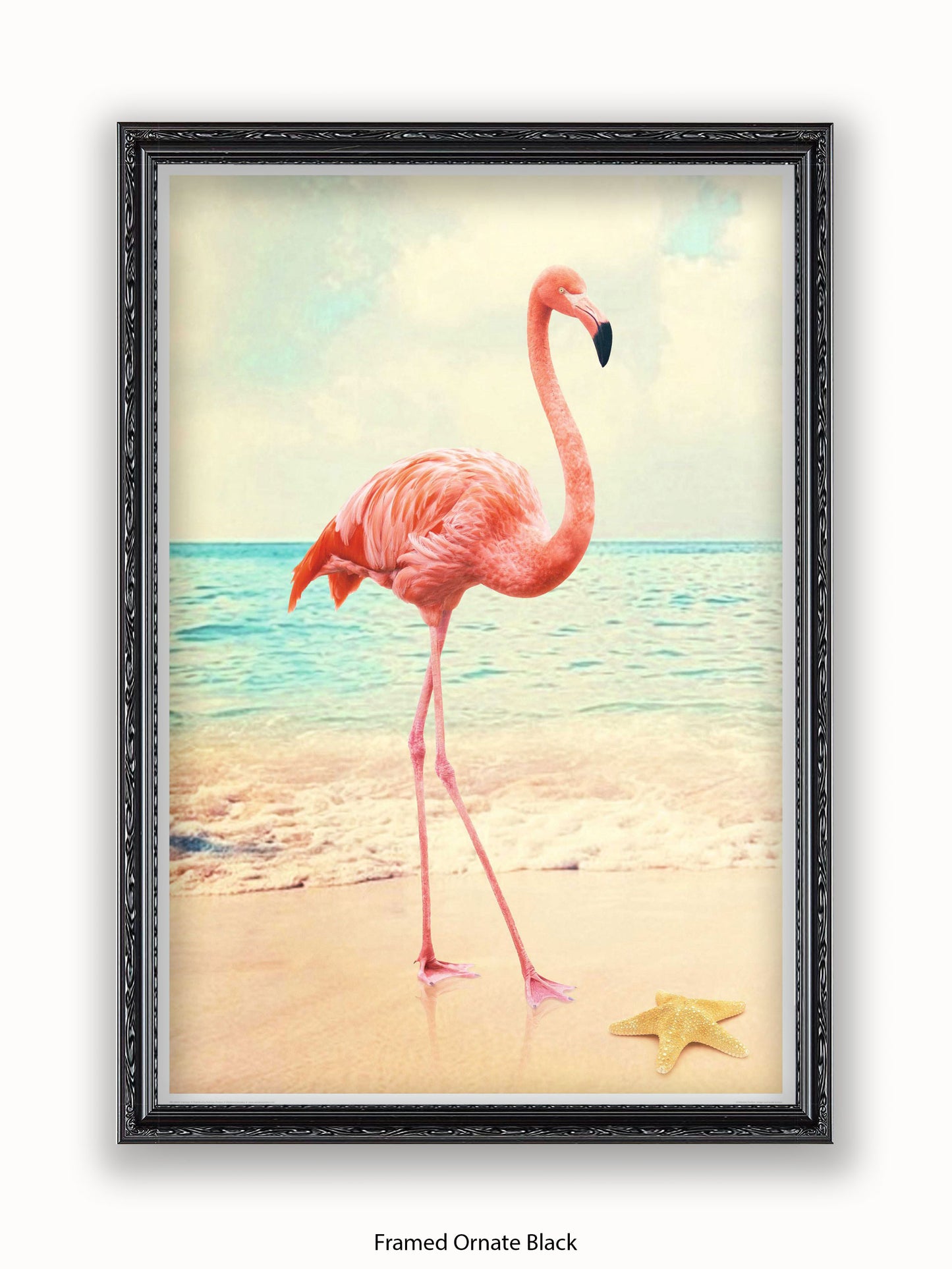 Flamingo Starfish Beach Poster