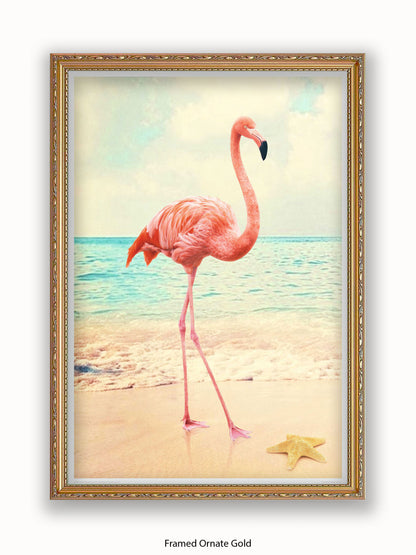 Flamingo Starfish Beach Poster