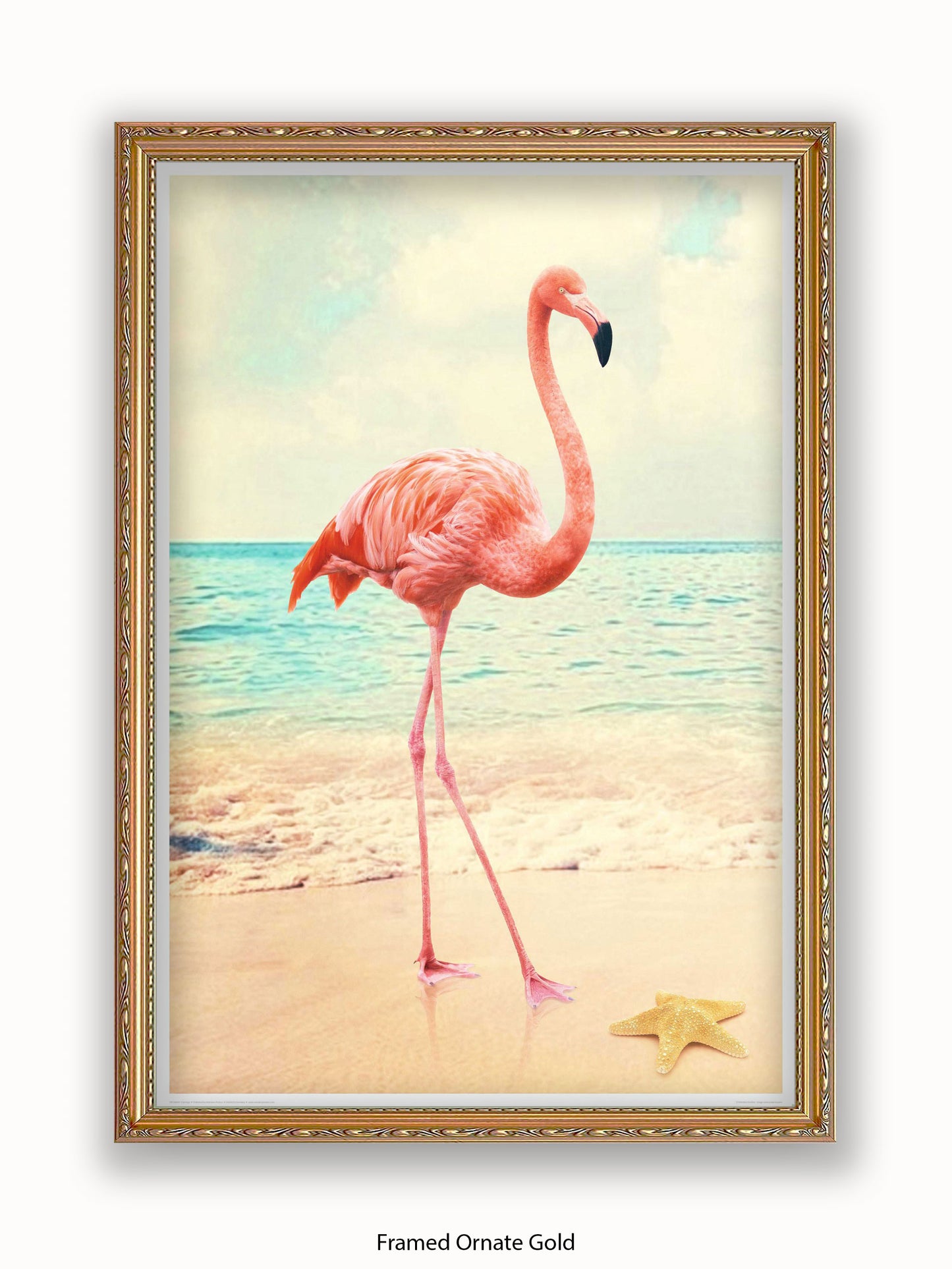 Flamingo Starfish Beach Poster