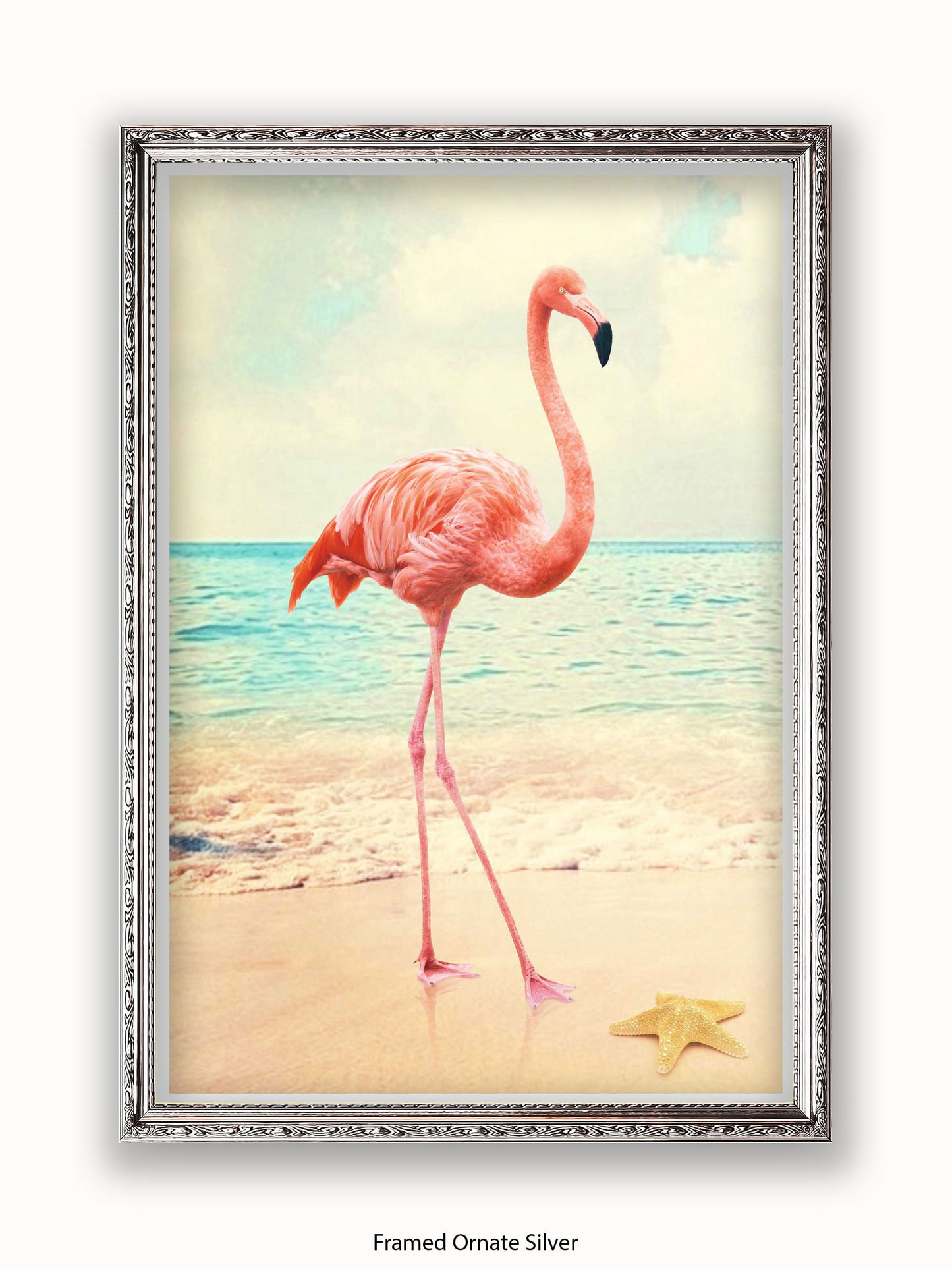 Flamingo Starfish Beach Poster