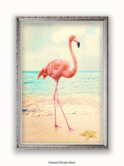 Flamingo Starfish Beach Poster