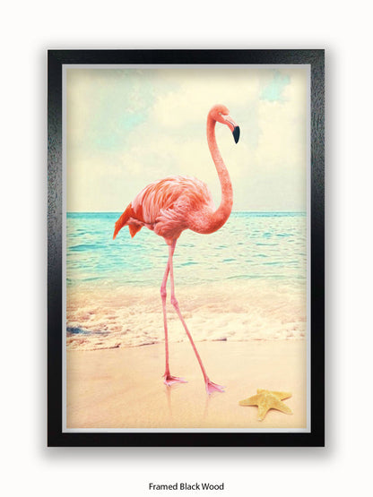 Flamingo Starfish Beach Poster