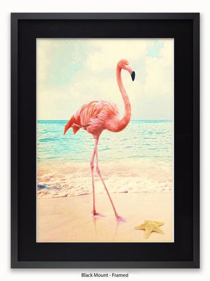 Flamingo Starfish Beach Poster