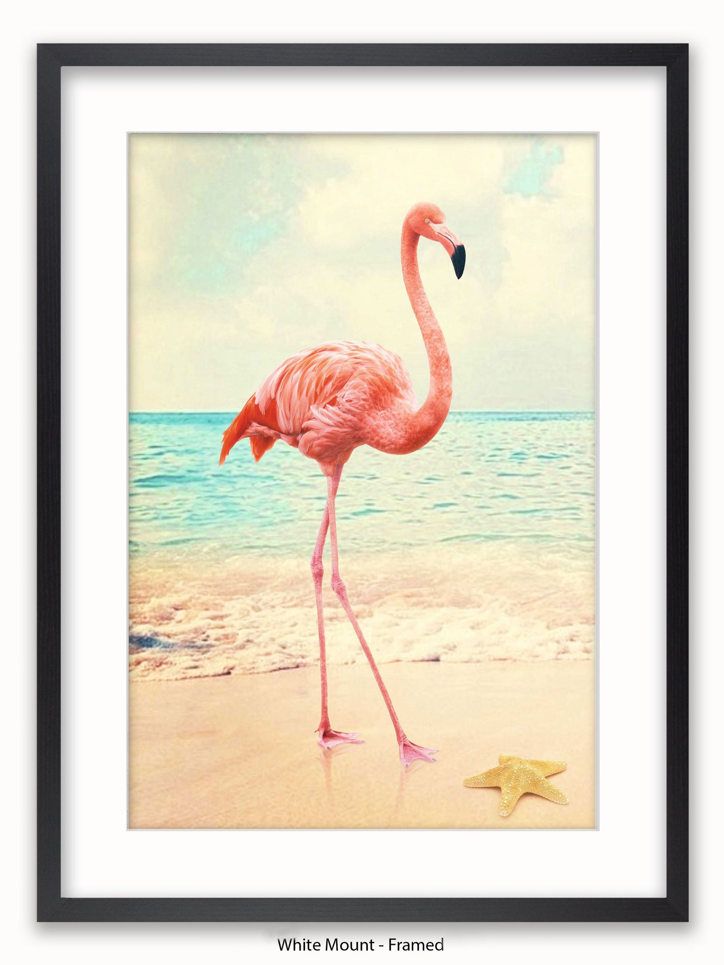 Flamingo Starfish Beach Poster