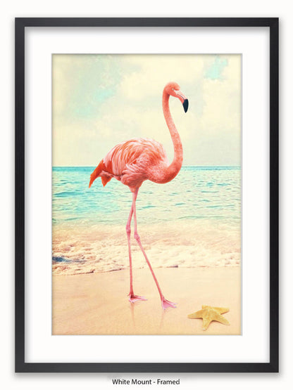 Flamingo Starfish Beach Poster
