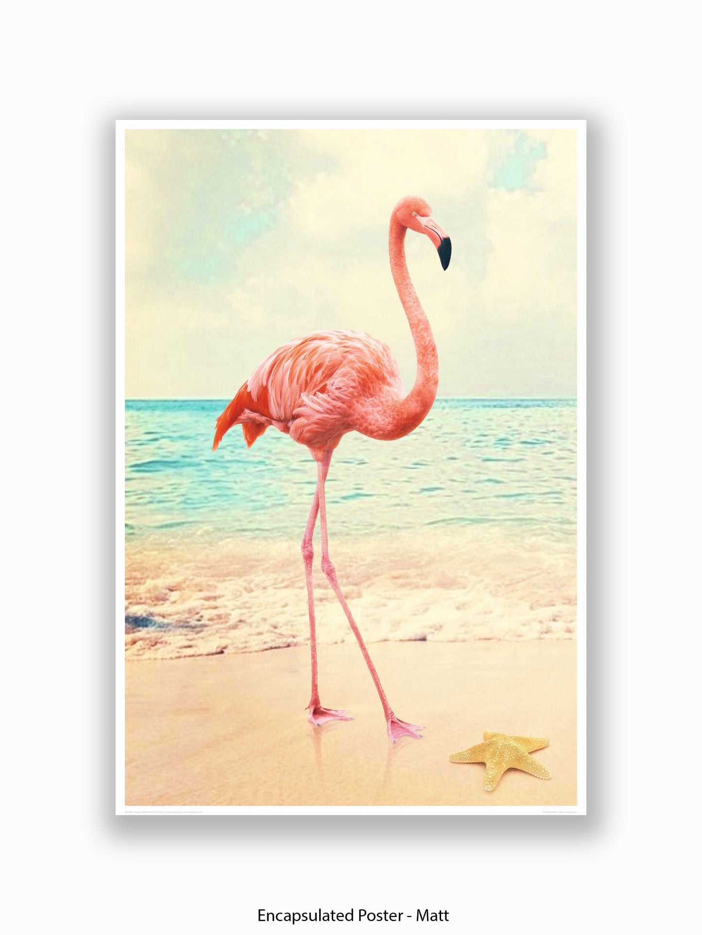 Flamingo Starfish Beach Poster