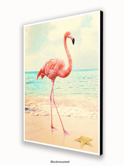 Flamingo Starfish Beach Poster