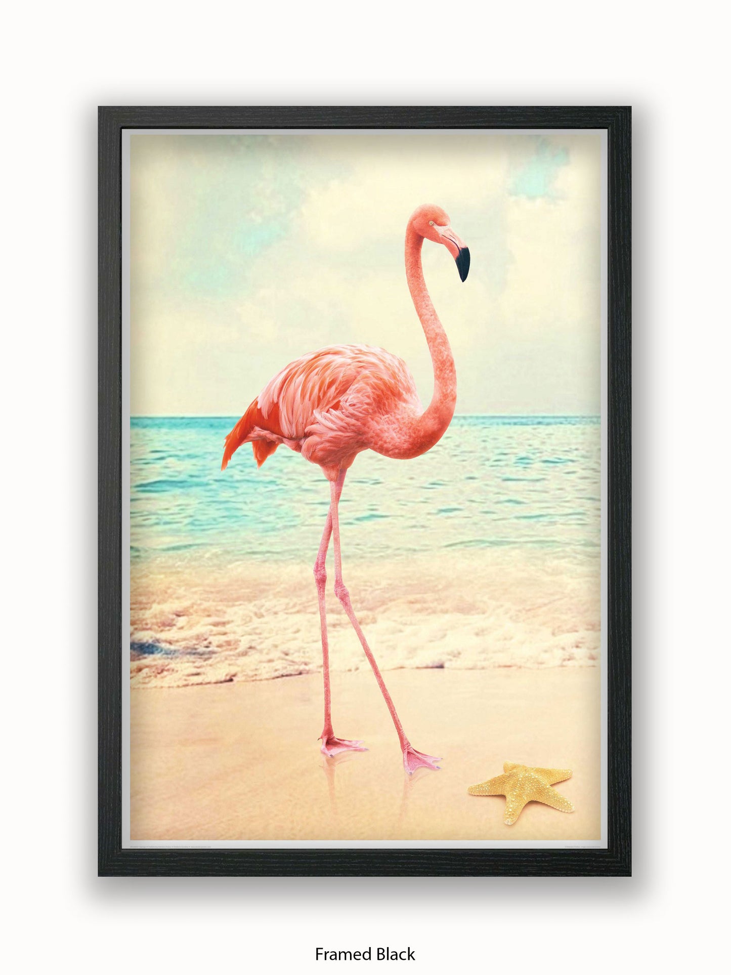 Flamingo Starfish Beach Poster