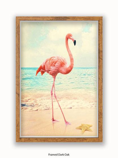Flamingo Starfish Beach Poster