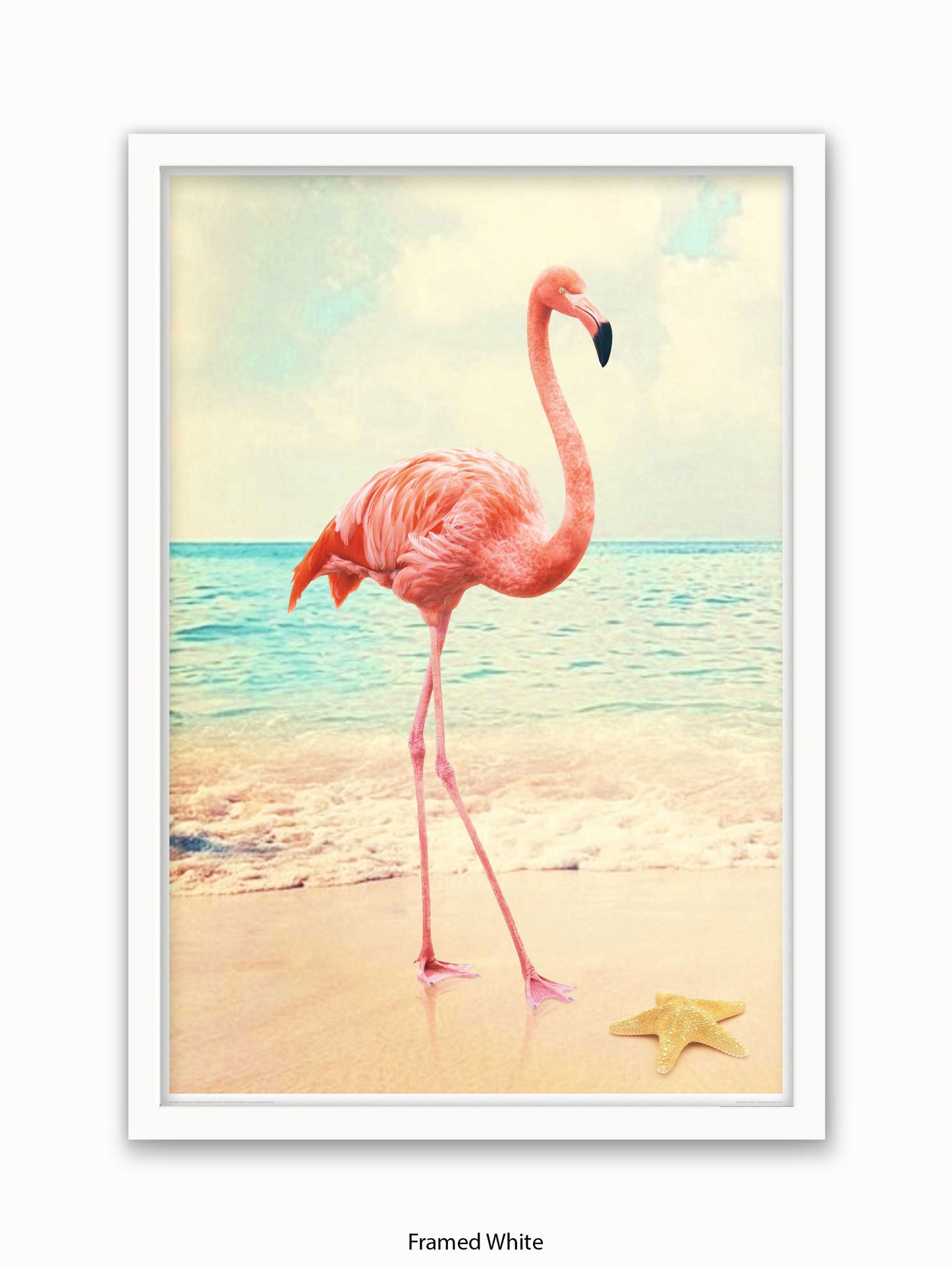 Flamingo Starfish Beach Poster