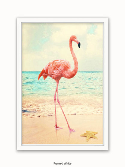 Flamingo Starfish Beach Poster