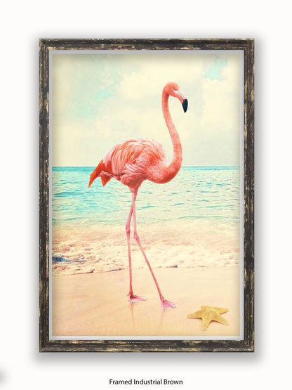 Flamingo Starfish Beach Poster