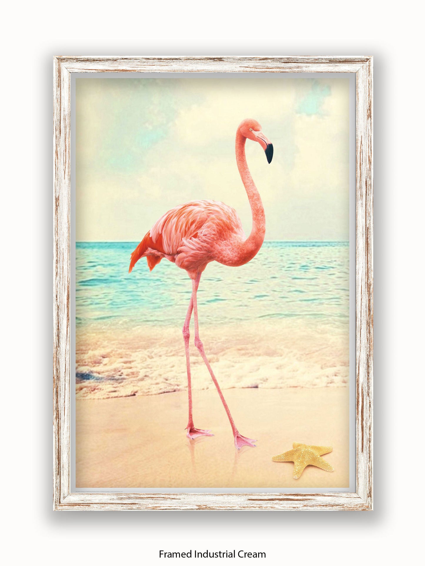 Flamingo Starfish Beach Poster