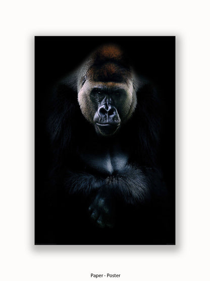 Gorilla Kings Of Nature Poster