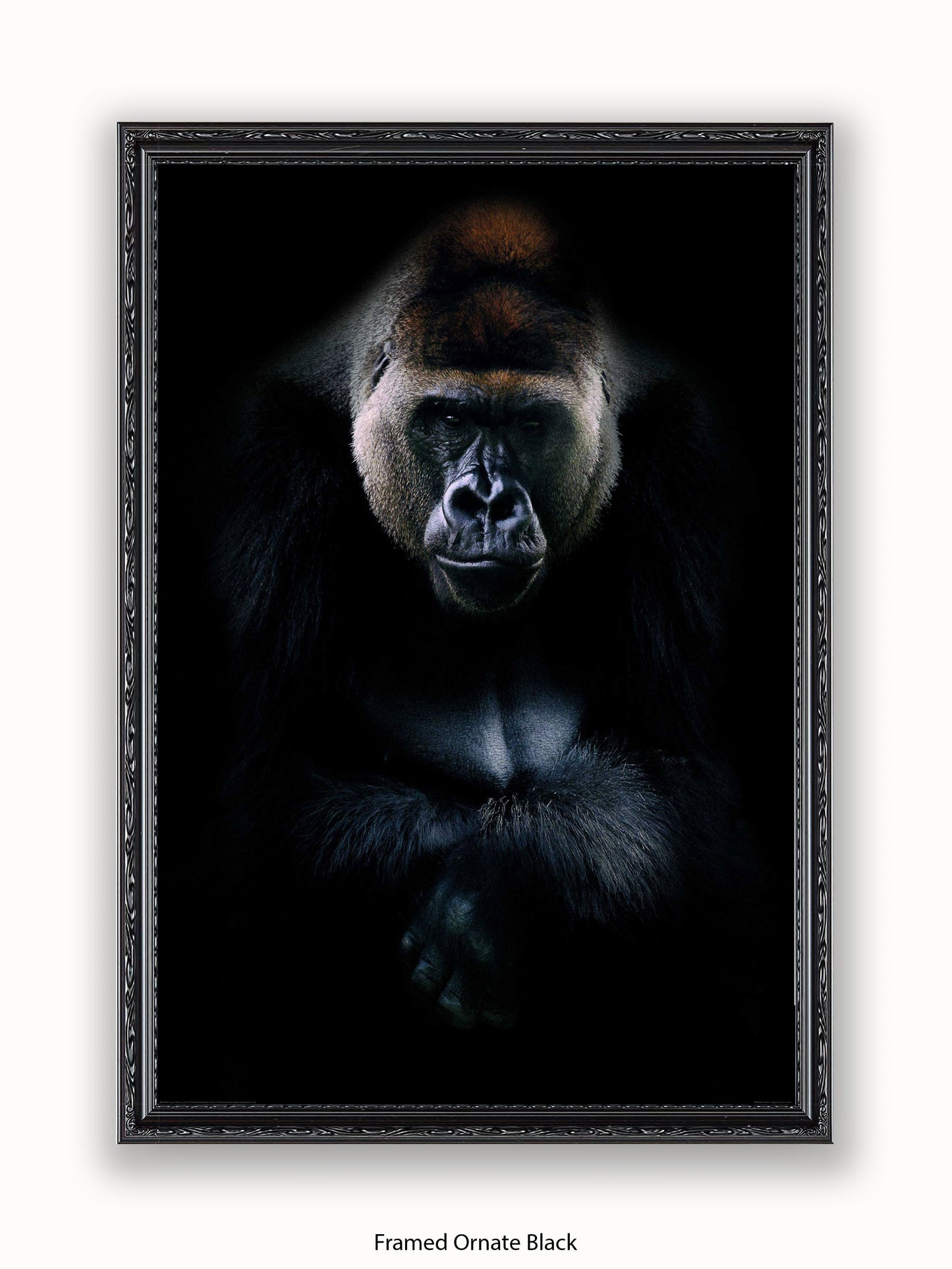Gorilla Kings Of Nature Poster
