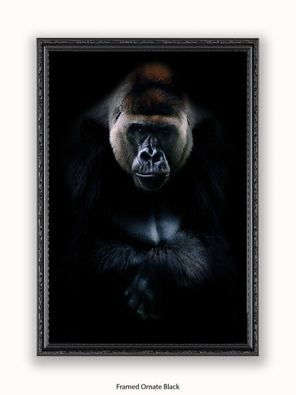 Gorilla Kings Of Nature Poster