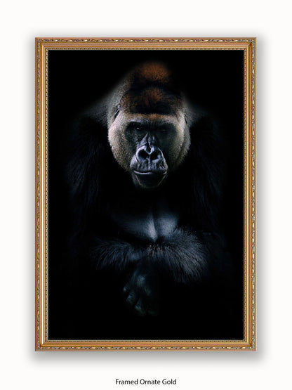 Gorilla Kings Of Nature Poster