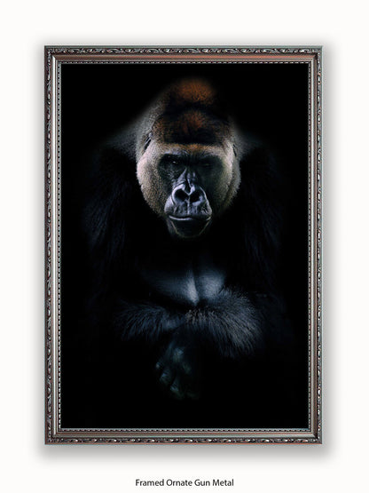 Gorilla Kings Of Nature Poster